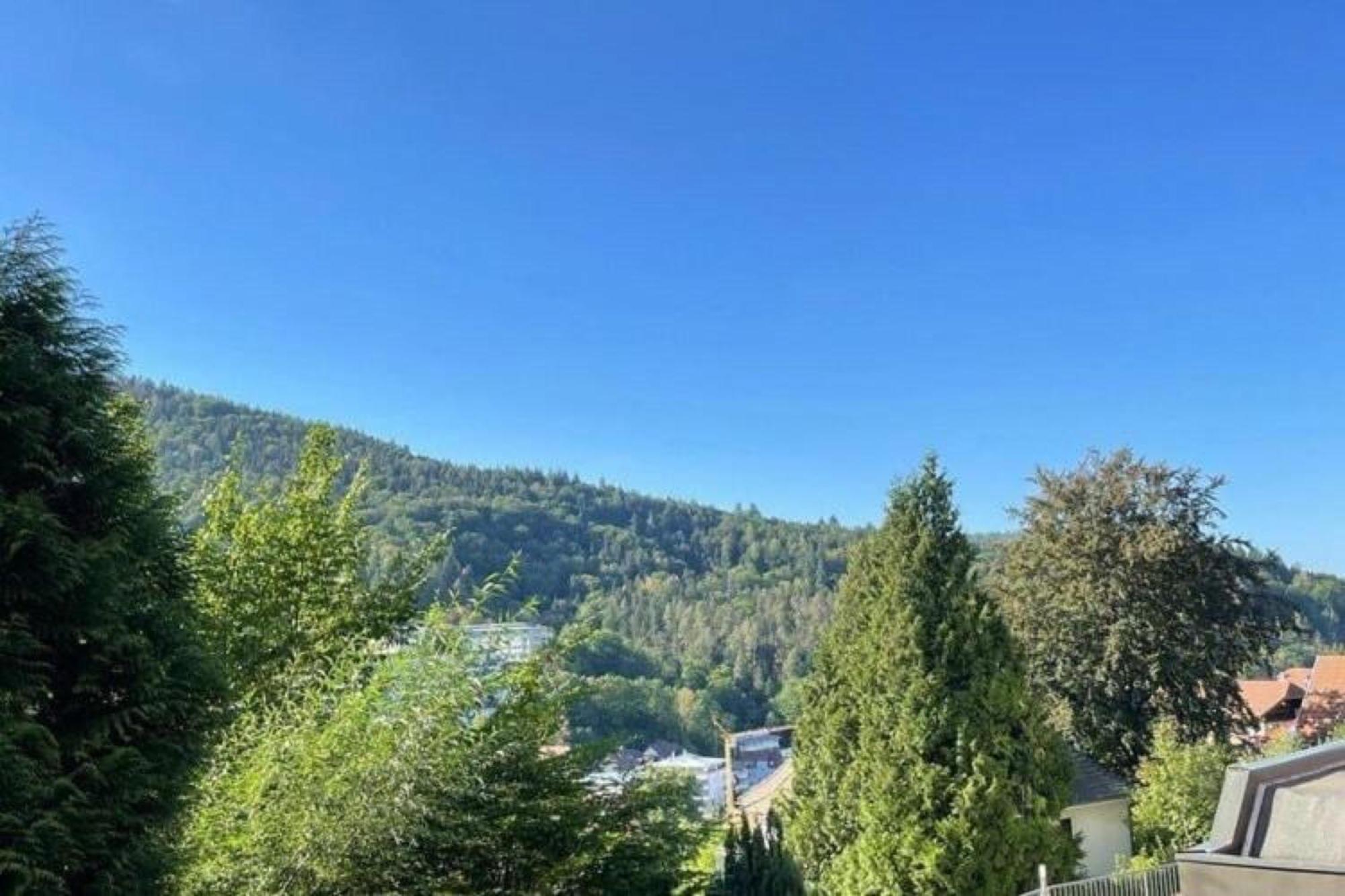 Ferienwohnung Adrion Bad Herrenalb Esterno foto